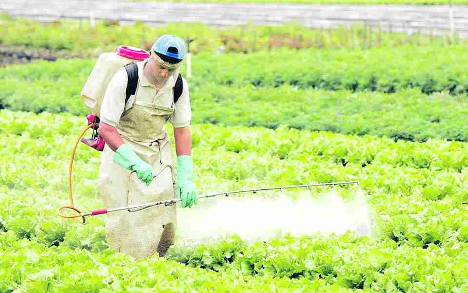 Evite intoxicaciones con los agroquímicos