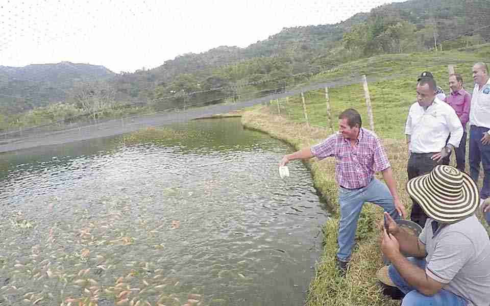 NOTA-1-FOTO-1-AGROPECUARIA