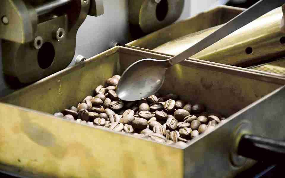 Producción de café crece 11,4 % en junio