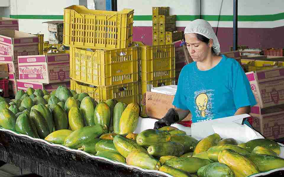 Agricultores de Risaralda fortalecen alianzas productivas y comerciales