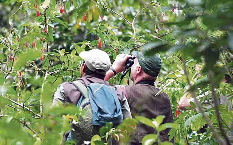 Risaralda a desarrollar el turismo sostenible