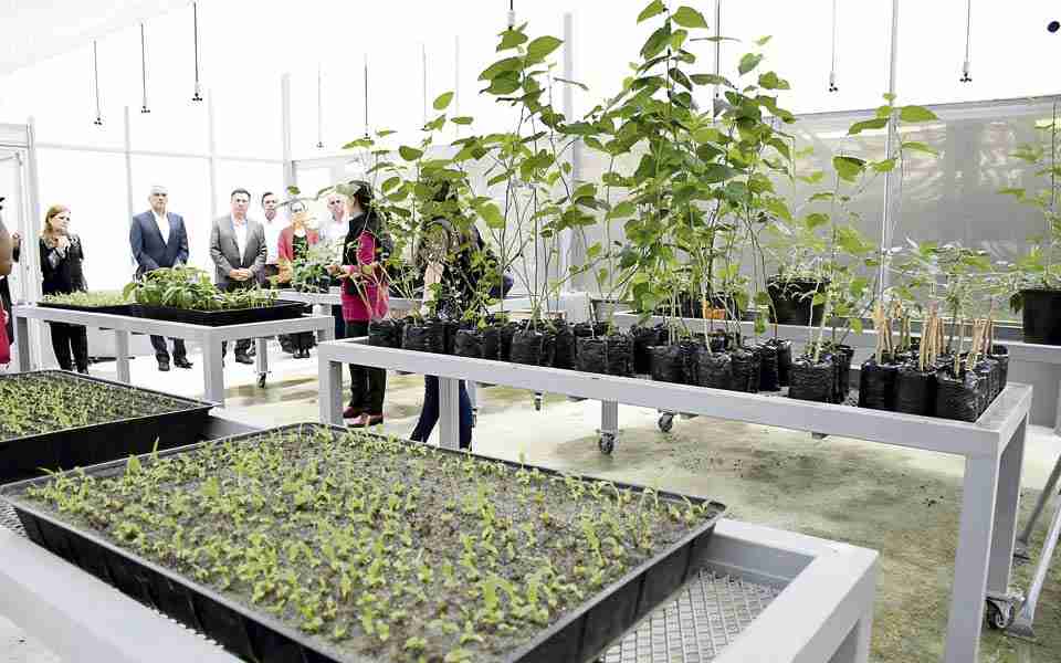 UTP sigue apoyando el fortalecimiento del agro