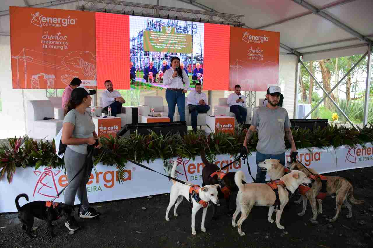Pereira con una buena ‘energía’