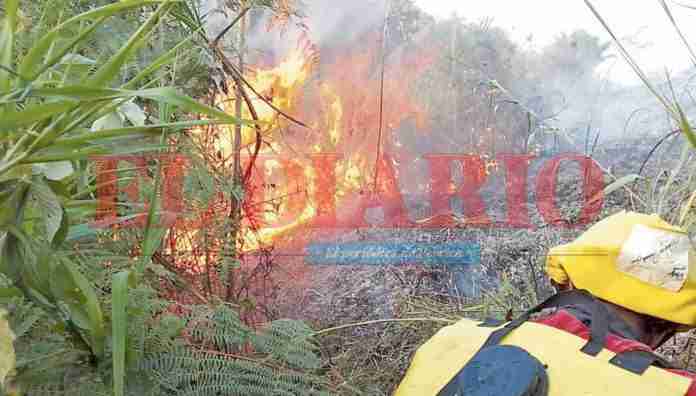 Al parecer, alguien quería quemar el resguardo Embera Chamí