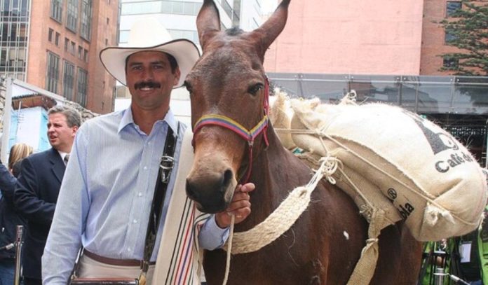 Fallece Carlos Castañeda, el emblemático rostro de Juan Valdez