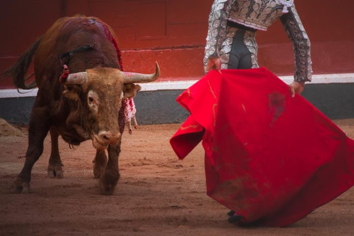 Congreso aprueba prohibición de las corridas de toros en Colombia