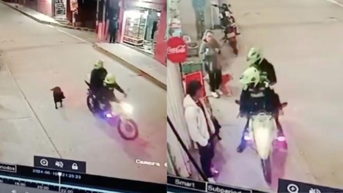 Policía de Bogotá separa a dos uniformados por maltrato animal captado en video