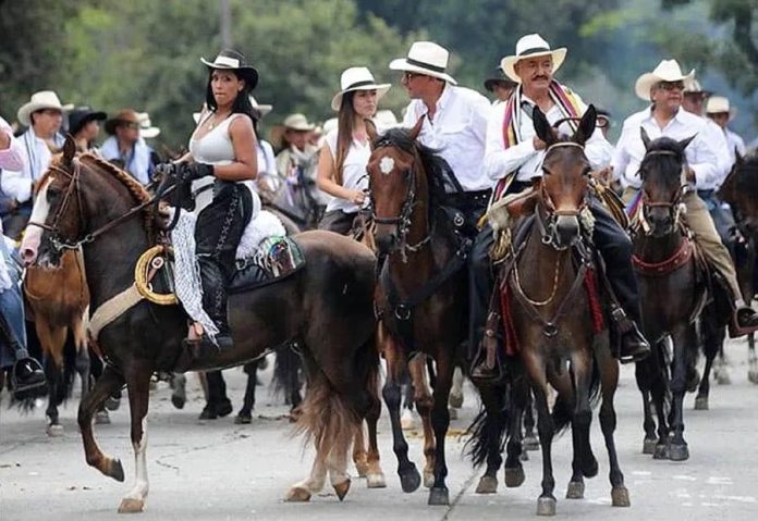 Desfile a caballo: ¿Patrimonio cultural o maltrato animal?