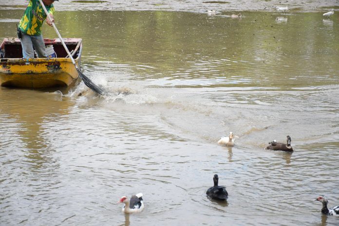 Inicia recuperación del Lago 1 de La Pradera en Dosquebradas