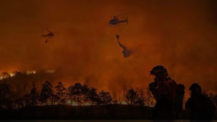 Colombia enfrenta una nueva emergencia: 21 incendios forestales permanecen activos